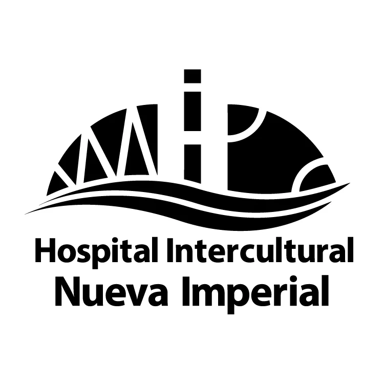 logo-hini